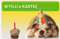 Wyślij kartkę internetową - e-kartkę