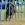 Zawody Agility - LOLO CUP - ELITA AGILITY